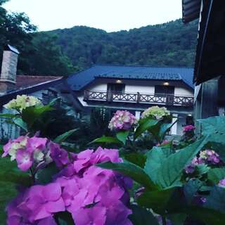 Гостевой дом Гостинец Яремче-5