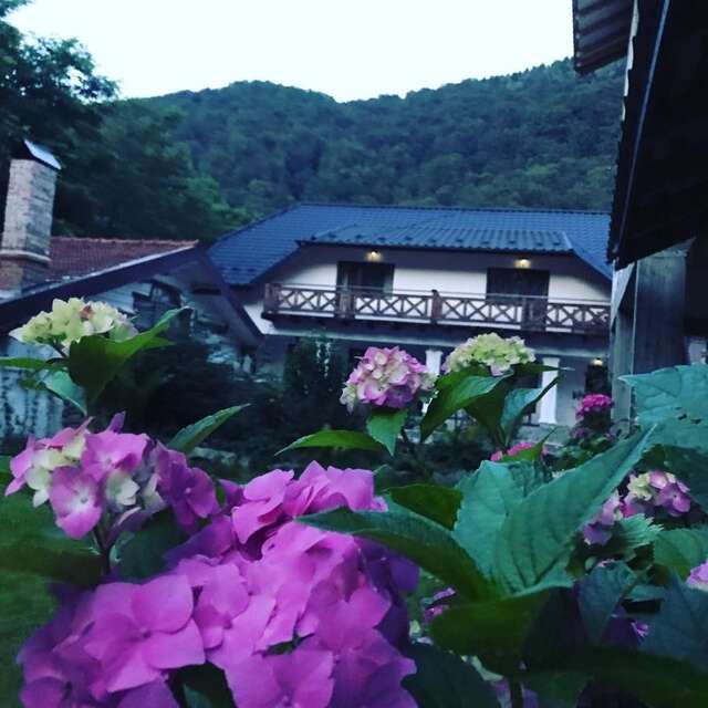 Гостевой дом Гостинец Яремче-8